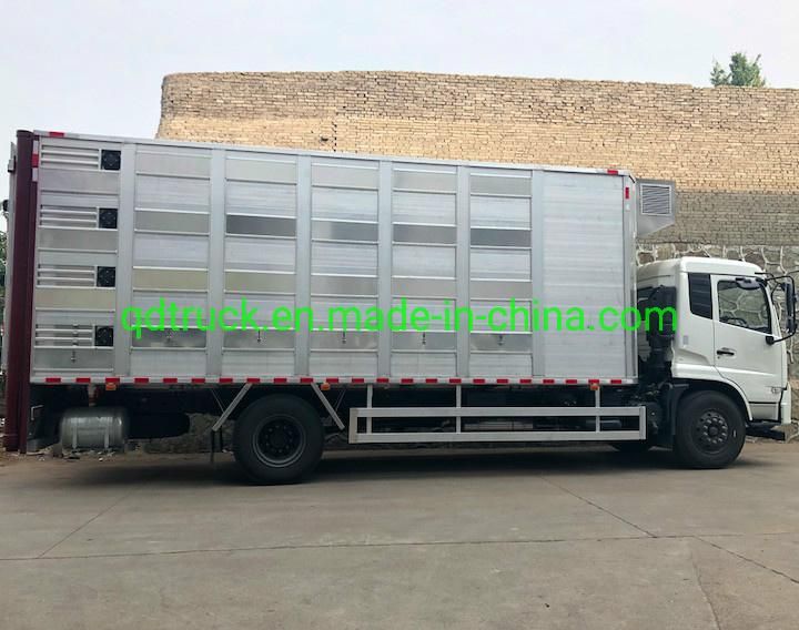 4X2 Sheep transporting truck/6X4 Pig carrier truck/8X4 Goat transport truck