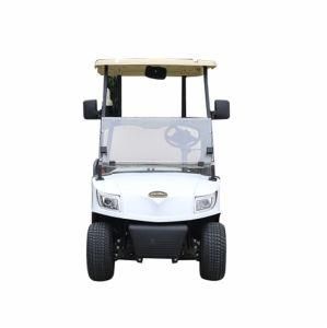 2 Passengers Vehicles Lithium Battery Golf Cart with Windshield (DG-M2)