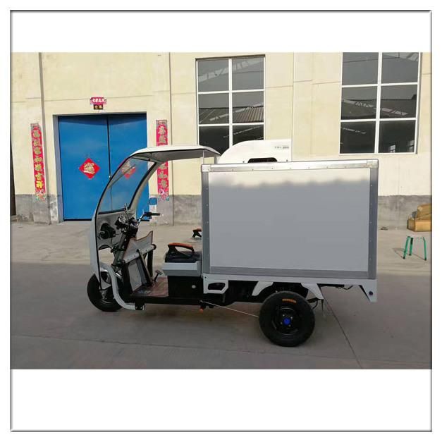 Cheap Battery Driven DC48V in-City Delivery Mini Refrigerated Electric Tricycle Refrigeration Unit