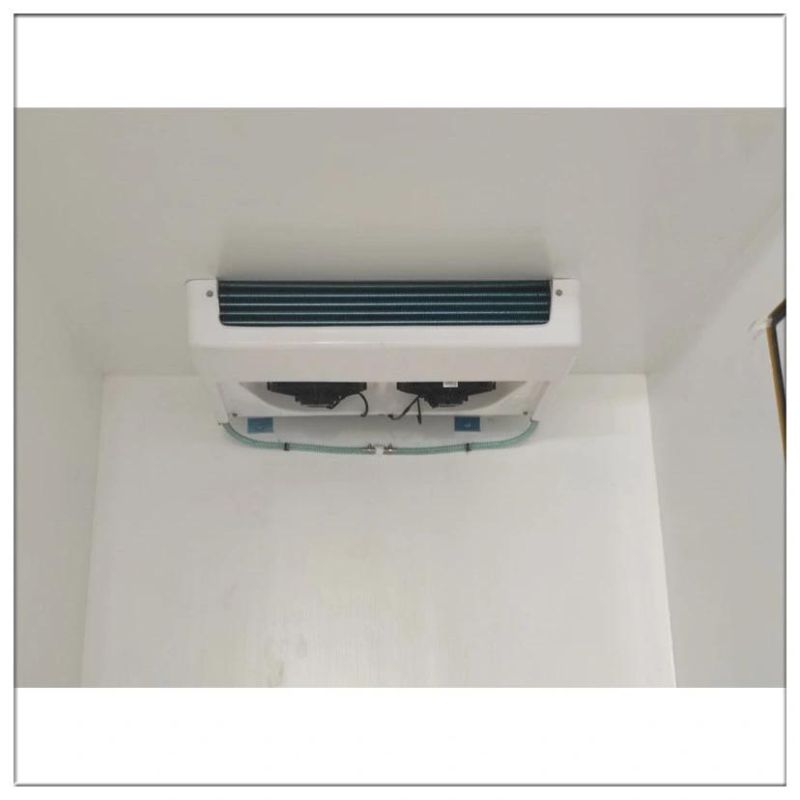 Front Mounted 12V R134A Fresh Keeping High Quality Factory Truck Cooling Unit