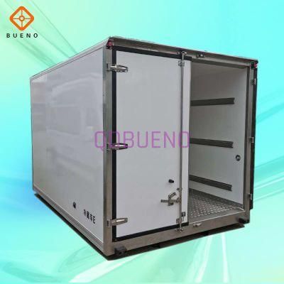 Bueno Professional Van/Cargo Box/Truck Body for Sale
