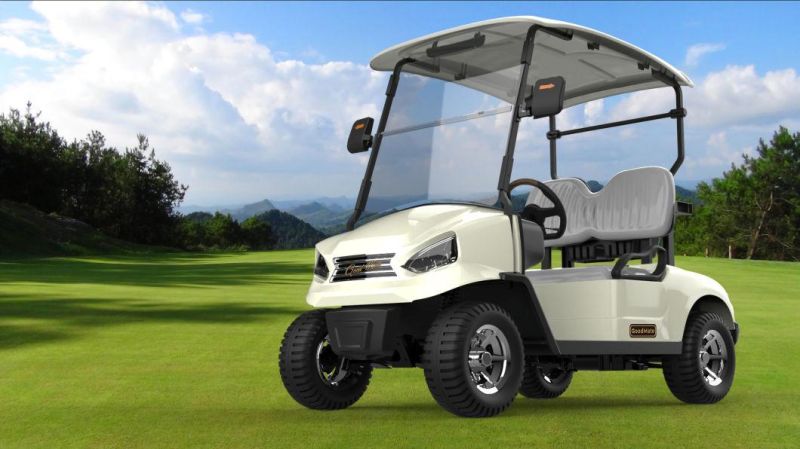 Hot Sale 2 Seats Electric Club Sightseeing Car Golf Cart Golf Buggy with CE