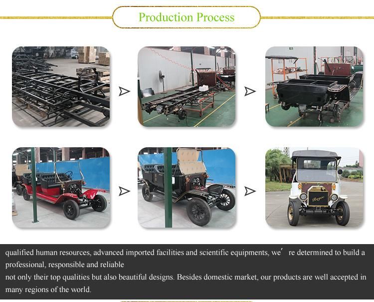 11 Passenger Classic Battery Tourist Shuttle Car