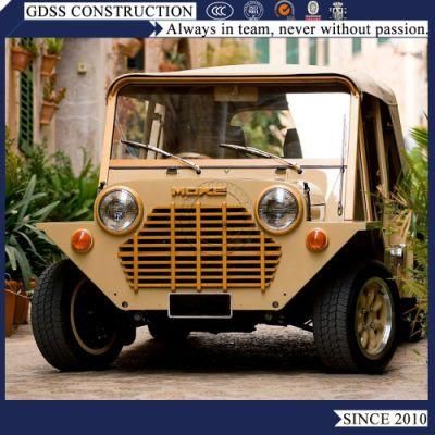 EEC Certified Electric Power Car Recreational Mini Moke