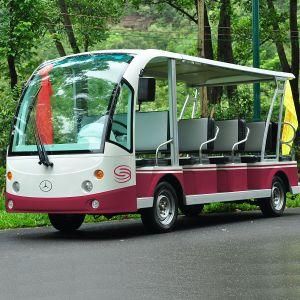 CE All Seats Electric Amusement Park Car for Cruise (DN-14)