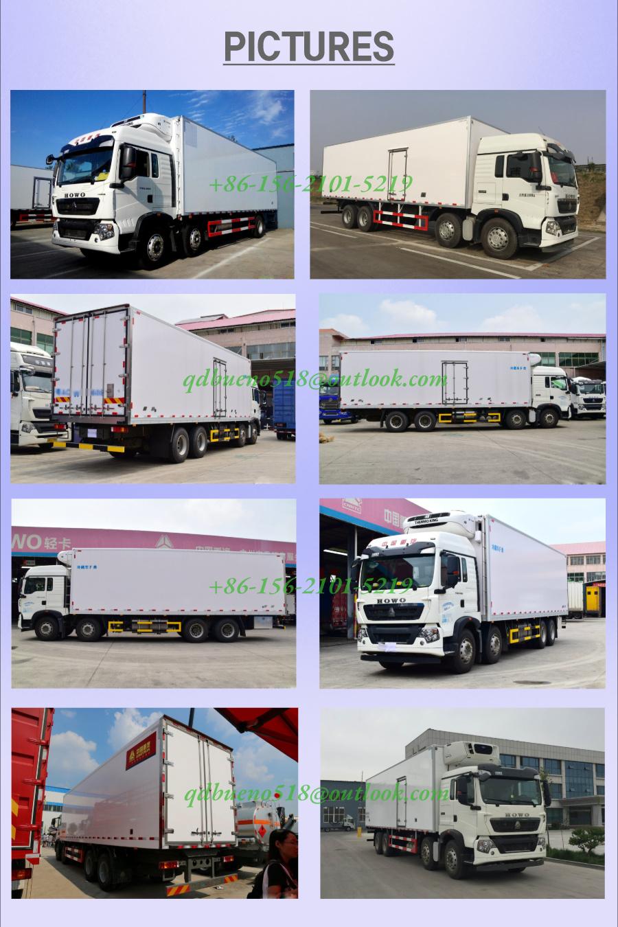 Sinotruk HOWO 3ton 5ton 10ton Euro4 Left Hand Driving Freezer Refrigerator Refrigerated Box Van Truck