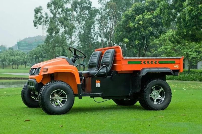 Electric UTV 5000W Electric Farmer Vehicle Electric Beach Vehicle Electric UTV