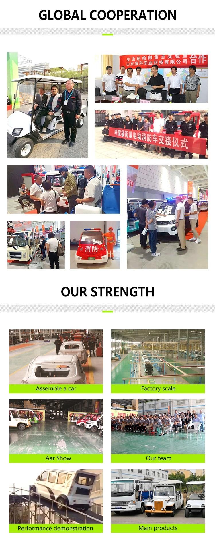 Factory Price Senior Cheap Electric Vehicles Sightseeing Electrical Buses
