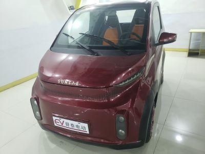 Rechargeable Car, Two Seat Electric Vehicle, Pure Electric Vehicle, Electric Car, Simple Structure, Easy to Use Coc Certification