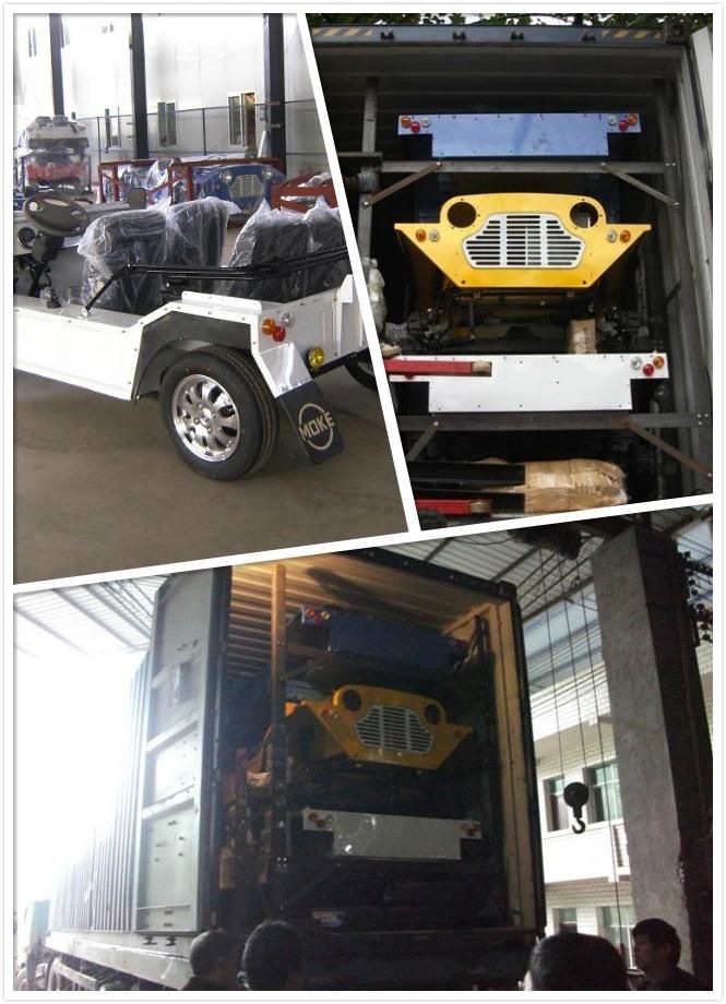 Body Aluminum Material Top Covered Gasoline Moke Nimi Car