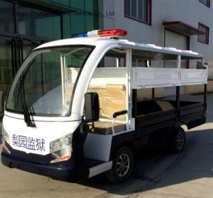 China New Supplier Good Service Customized Electric Carts