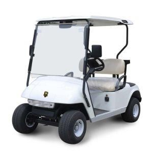 Popular Retro 4 Wheel 2 Seater Garden Vehicle Electric Lithium Battery Golf Cart (DG-C2)