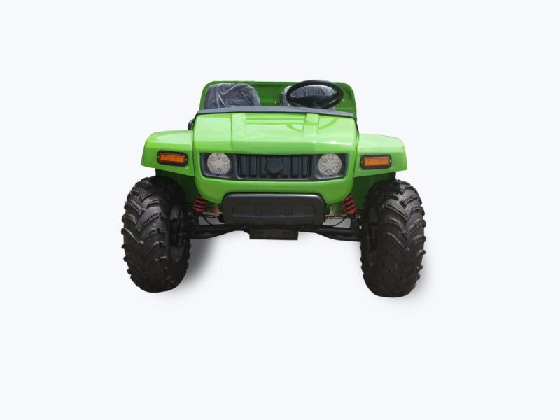 2 Passenger Farm Electric UTV for Sale