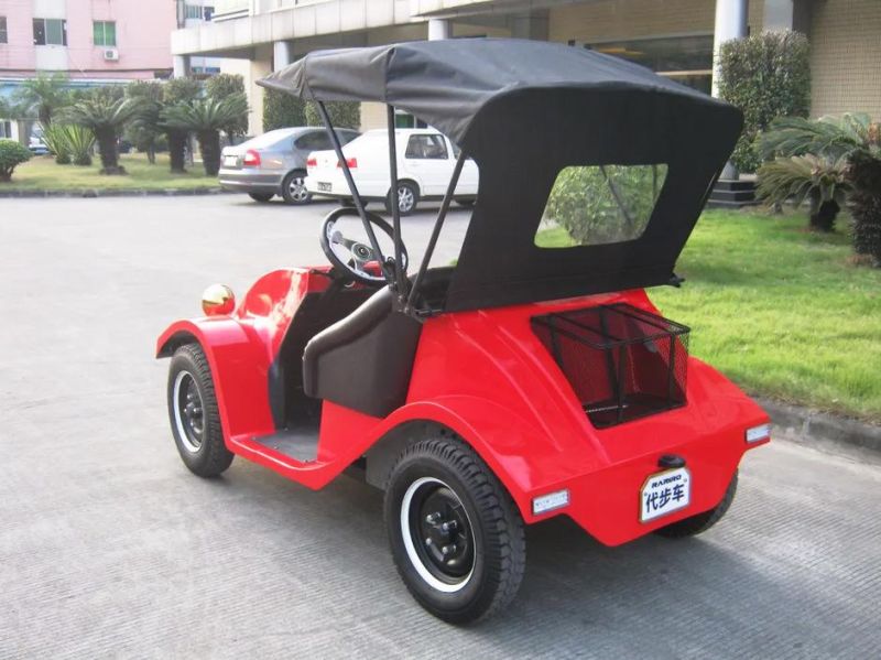 Rariro High Quality Upgrade 4kw Motor Powerful 2 Seat Electric Golf Cart