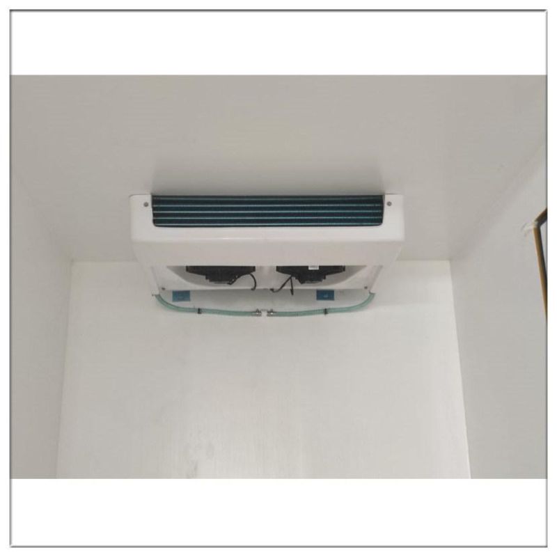 Frozen R404A Slim Design Split Front Mounted 0 Evaporator Motors Truck Refrigeration Unit