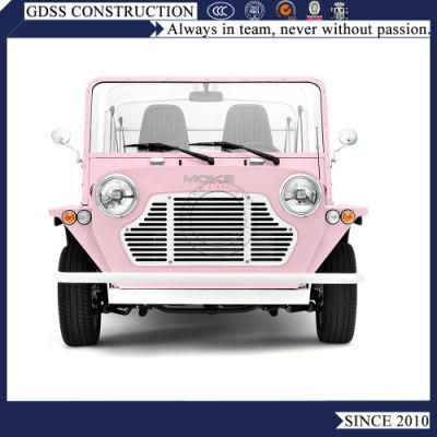 Classic Retro Style Gasoline Mini Moke Car