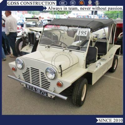 600cc Gasoline Engine Consume Petrol Mini Moke Car