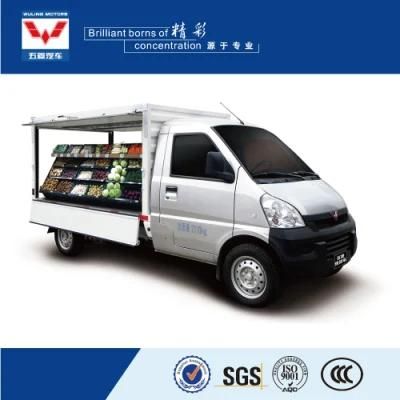 Hot Selling Wuling Small Size Mobile Food Van Truck Vegetable and Fruit Store Truck