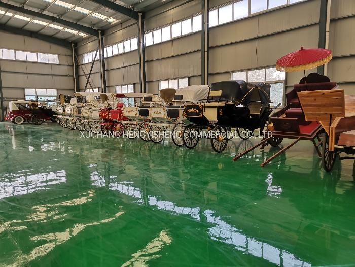Factory Directly Sale Horse Carriage Garden Horse Buggy