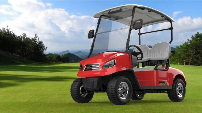 Rariro Brand CE Approved 2 Seater Antique Electric Golf Cart Electric Sightseeing Car Golf Carts