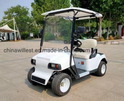 Top Selling Model 2 Seats Electric Touring Car Mini 2 Seats Golf Car