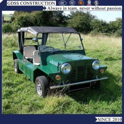 EEC Certified Lithium Battery Electric Mini Rhd Moke Car