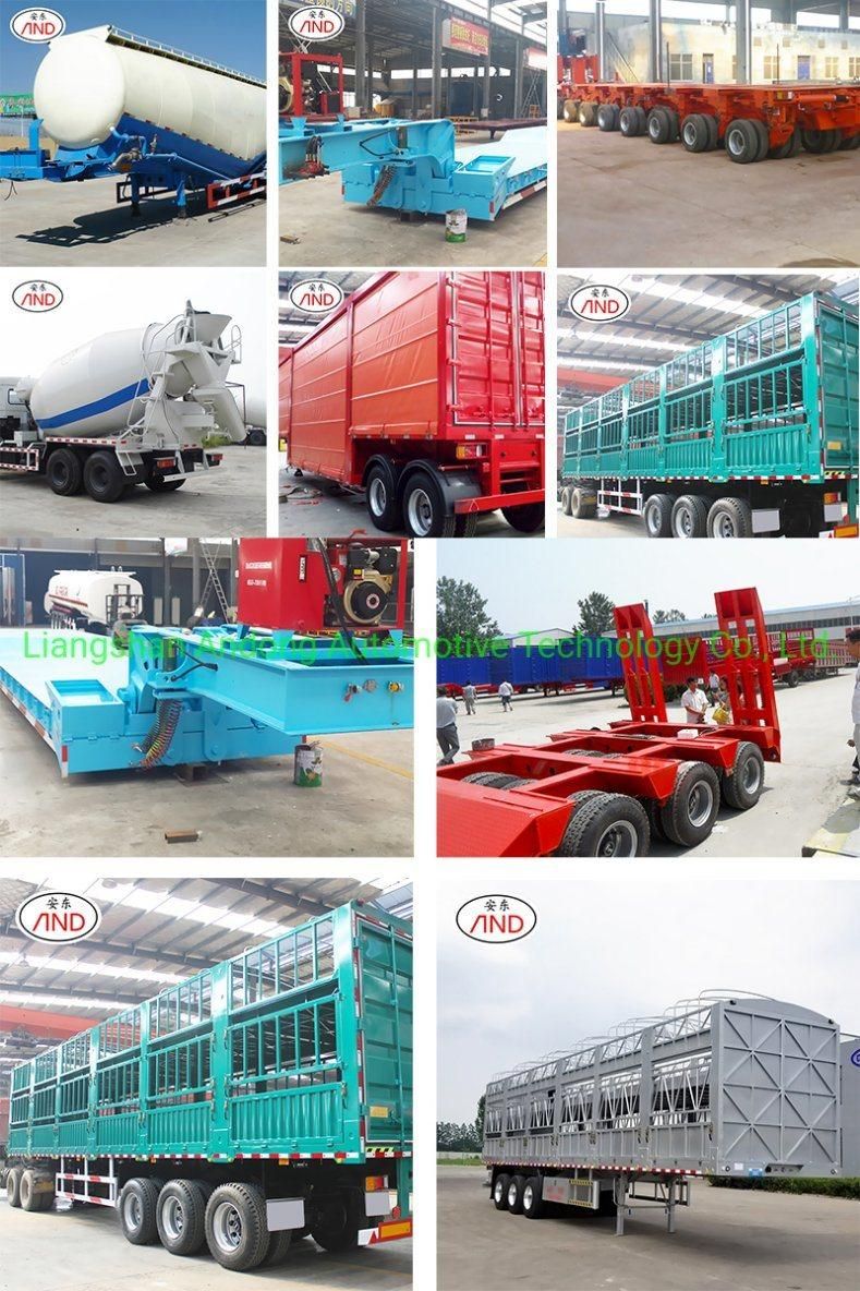 Mobile/Diesel Electric Truck Concrete Mixer with Pump