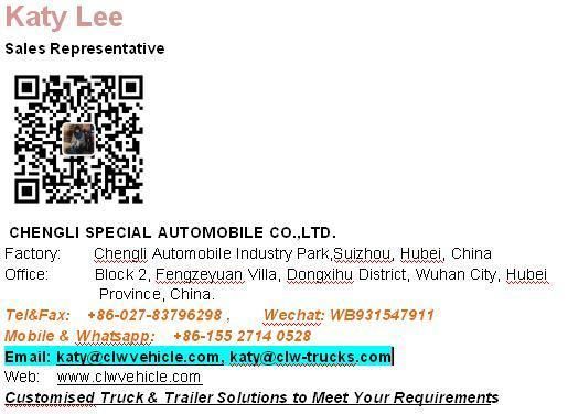 Dongfeng 2020 New Design Mobile with Diesel and Patrol Food Truck with Customized Size