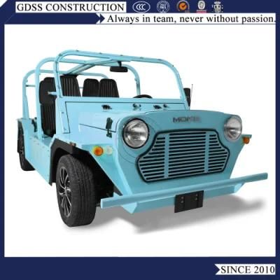 Chassis Aluminum Material Gasoline Car Petrol Mini Moke for Sale USA