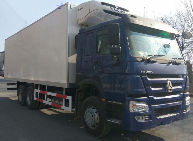 Sinotruk HOWO 6X4 6X6 20000kgs 30000kgs Thermo King Refrigerators for Truck with Tail Board