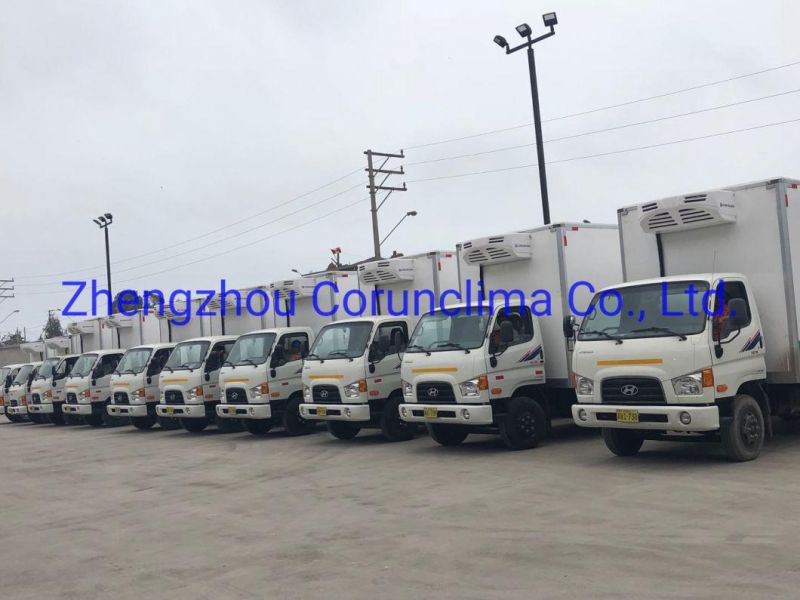 Truck Refrigeration Units Deep Freezer for Pickup, Minitruck, Small Vans