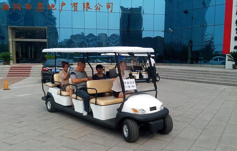 11 Passengers Electric Sightseeing Car for Tourist Resort