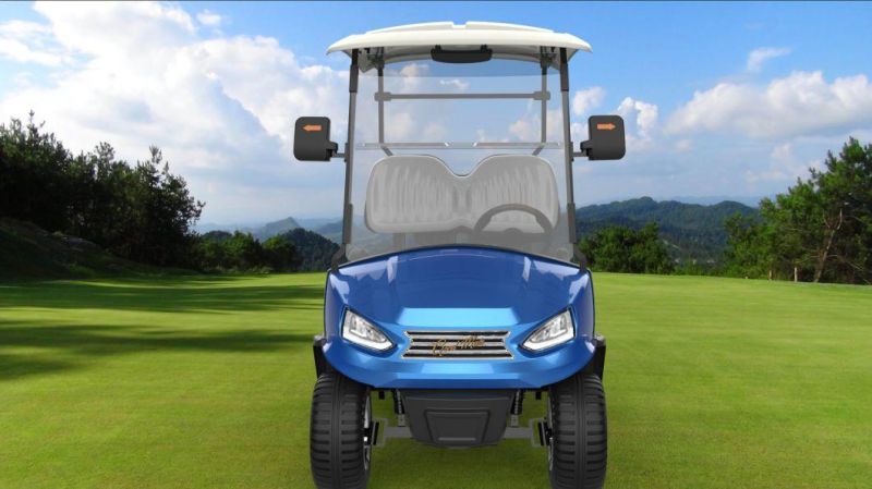 Rariro CE Approved Golf Buggy Electric Golf Carts New Model Golf Cart for Sale ()