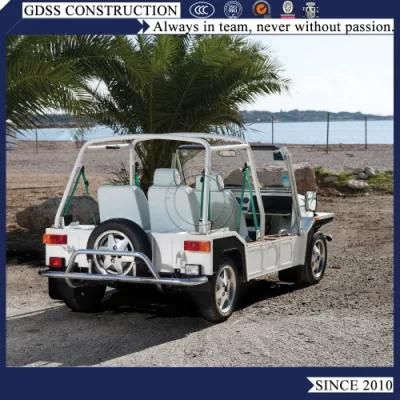Gasoline Powered System Mini Moke Car Vehicle