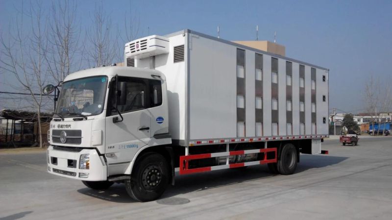 Dongfeng D9 Euro5 Ransport Baby Chicken Truck