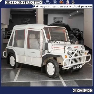 Beach Sightseeing Gasoline Mini Moke Car