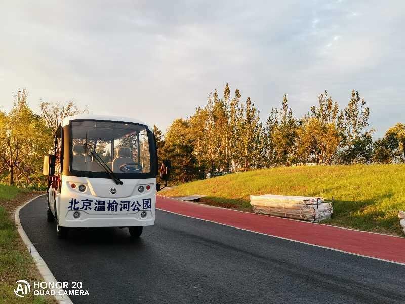 8 Seats Sightseeing Car with Low Price