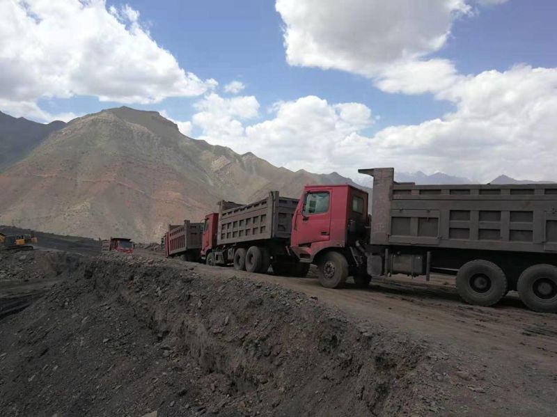 Shacman Best Heavy Duty Trucks in South Africa