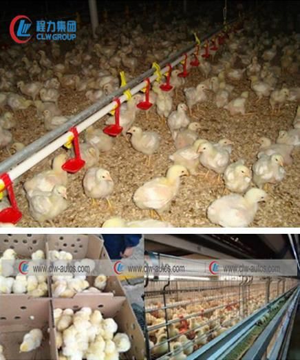 China Made Small Dongfeng Intelligent Live Baby Chick Day Old Chicken Transport Double Temperature Unit Poultry Delivery Truck