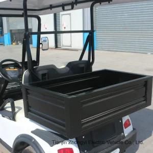 Zy Car 2 Seats Electric Vehicle Golf Carts for Storage Companies