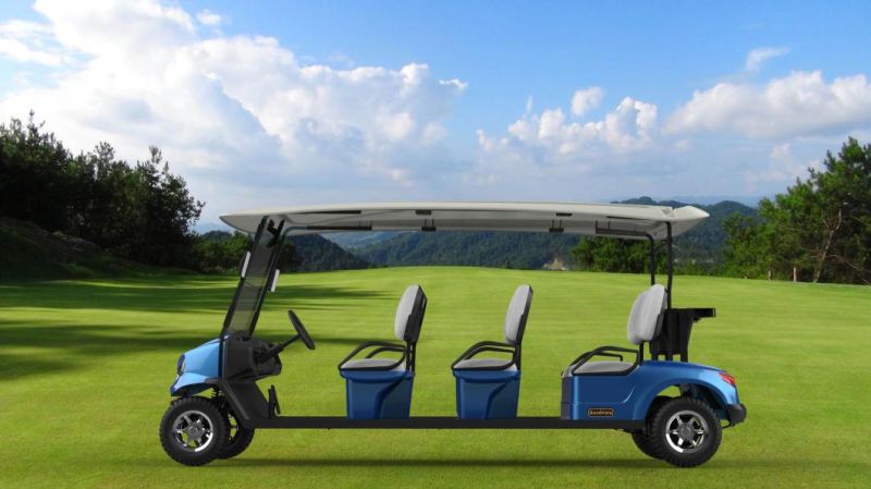 Rariro 6 Seater Electric Car for Golf with CE