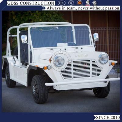 EEC Certified 600cc Mini Moke Recreational Car