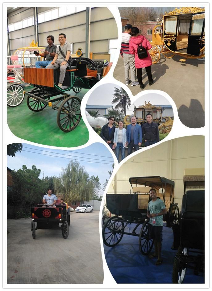 Factory Directly Sale Horse Carriage Garden Horse Buggy