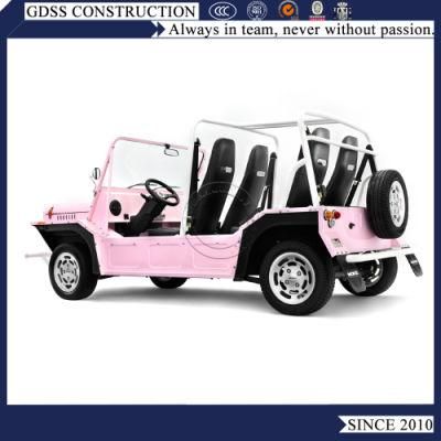 Fantastic Europe Version Gasoline Mini Vintage Moke Car