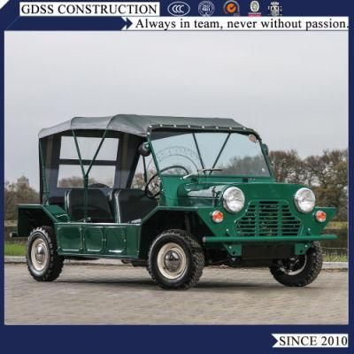 Smart Gasoline Car Mini Moke Islands for Sightseeing