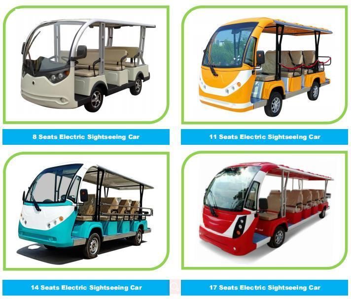 Raysince New Model Electric Sightseeing Car Good Quality Tourist Mini Bus Sightseeing Car with Doors