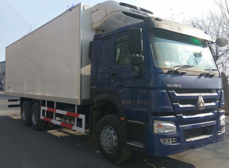 HOWO Sinotruk 20tons 25tons 30tons Thermo King Truck Refrigeration Units