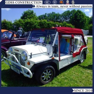 Hot Popular Gasoline Powered Car Mini Moke Lsv with Cheap Price