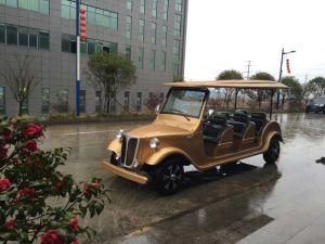 8 Person Electric Amusement Park Car