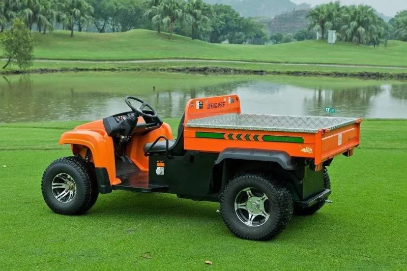 Electric UTV 5000W Electric Farmer Vehicle Electric Beach Vehicle Electric UTV